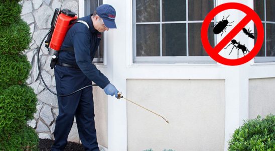 Dursunbey Dezenfeksiyon böcek ilaçlama ve haşere kontrolü — ilaclama-tr.com